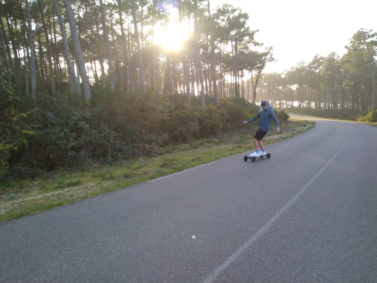 Forêt de pins des Landes - Bain de forêt naturel